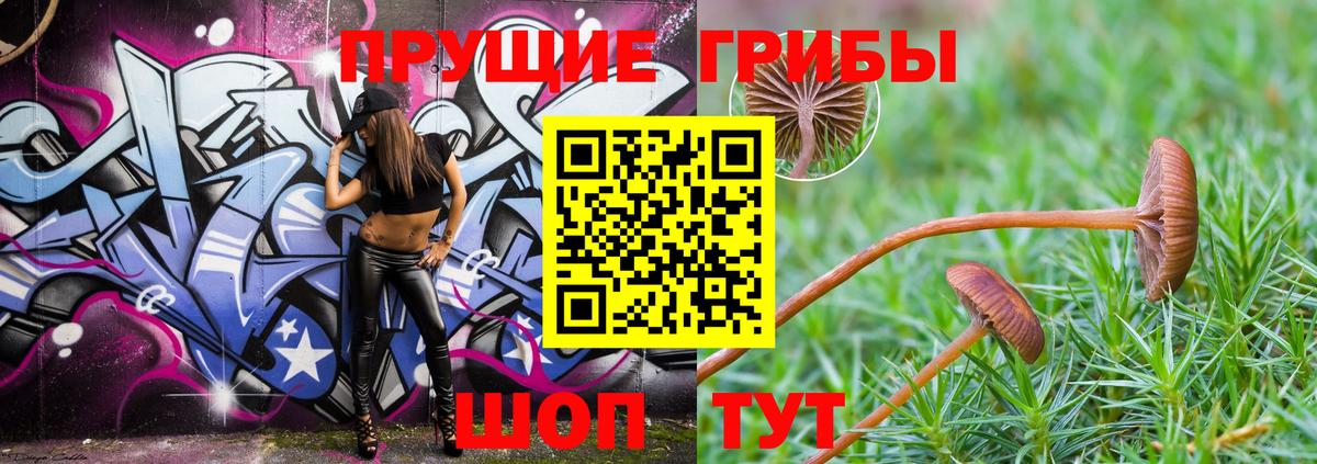 Алексин  Псилоцибиновые грибы мухоморы  Вход с VPN 